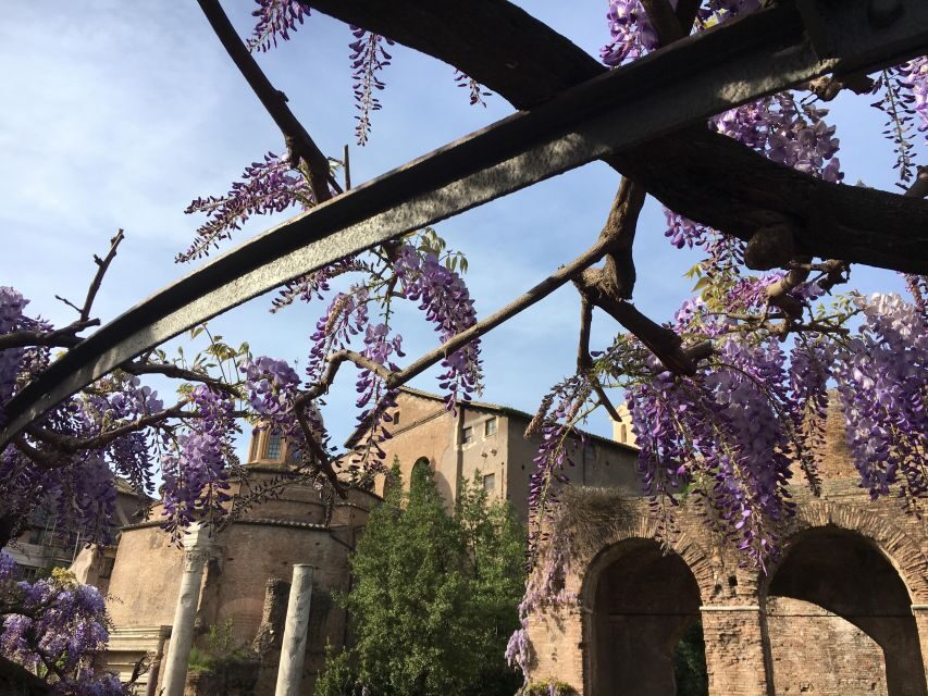 Colosseum, Roman Forum, Palatine Hill - the PRIVATE TOUR - Who This Tour Suits Best