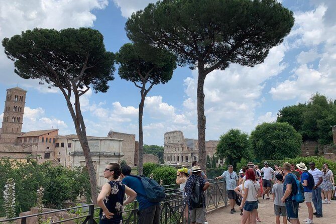 Colosseum Tour with Palatine Hill and Roman Forum - Palatine Hill: the “origin layers” viewpoint