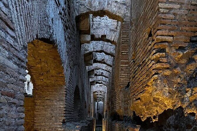 Colosseum Underground Night Tour: VIP Experience - The guide effect: what makes the explanations worth paying for