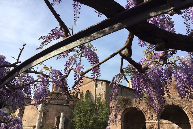 Colosseum with Arena Floor, Roman Forum and Palatine Hill - Private Tour - Stop 2: Palatine Hill and the Imperial Palace Ruins