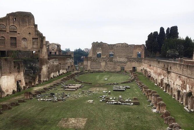 Colosseum with Arena Floor, Roman Forum and Palatine Hill - Private Tour - Practical Tips So Your Day Goes Smoothly