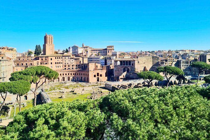Colosseum with Arena Guided Tour - Meeting Points and How to Plan Your Day Around This Tour