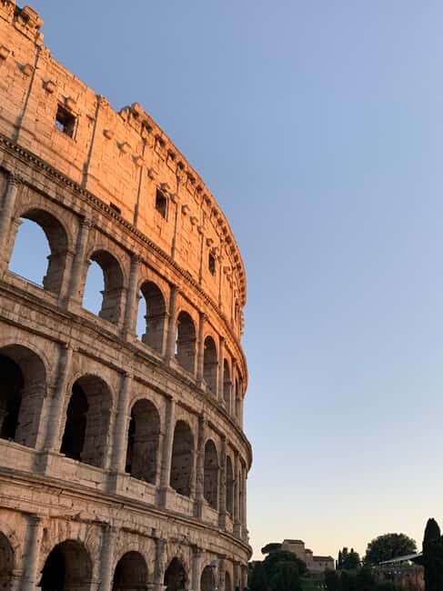 Colosseum with Arena, Roman Forum, and Palatine Hill tour - Roman Forum context helps you read the Colosseum