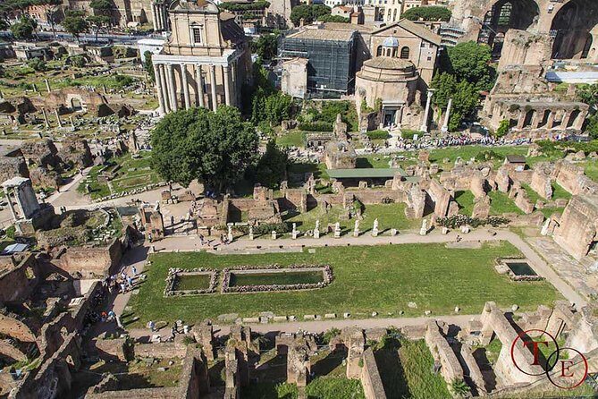 Colosseum with Gladiator Arena Floor, Forum & Palatine Hill Tour - Price and what you’re actually getting for $139.13