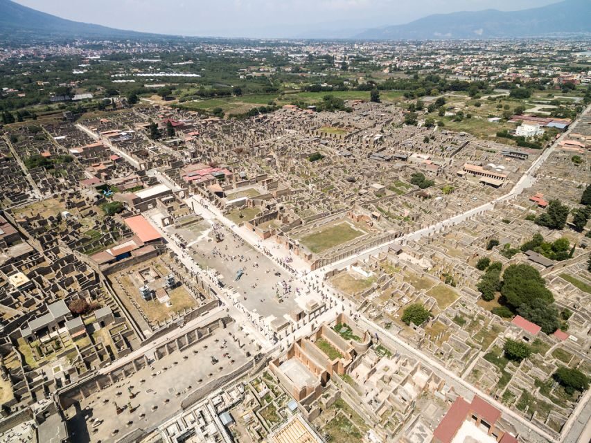 Combo Tour_Pompeii&Vesuvius from Castellammare di Stabia - Pompeii Archaeological Park with an audio guide: seeing the big stories at your pace