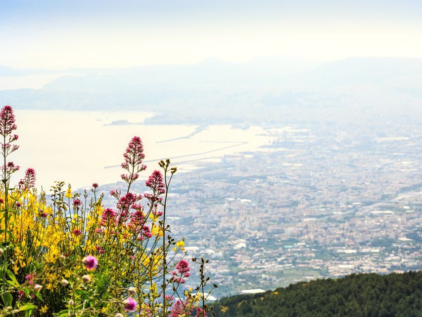 Combo Tour_Pompeii&Vesuvius from Castellammare di Stabia - Tickets, transfers, and value: what’s included (and why it matters)