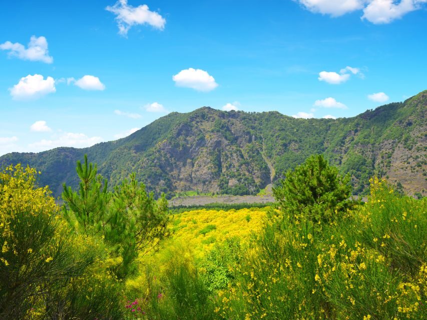 Combo Tour_Pompeii&Vesuvius from Castellammare di Stabia - Who this tour suits best (and who should look elsewhere)