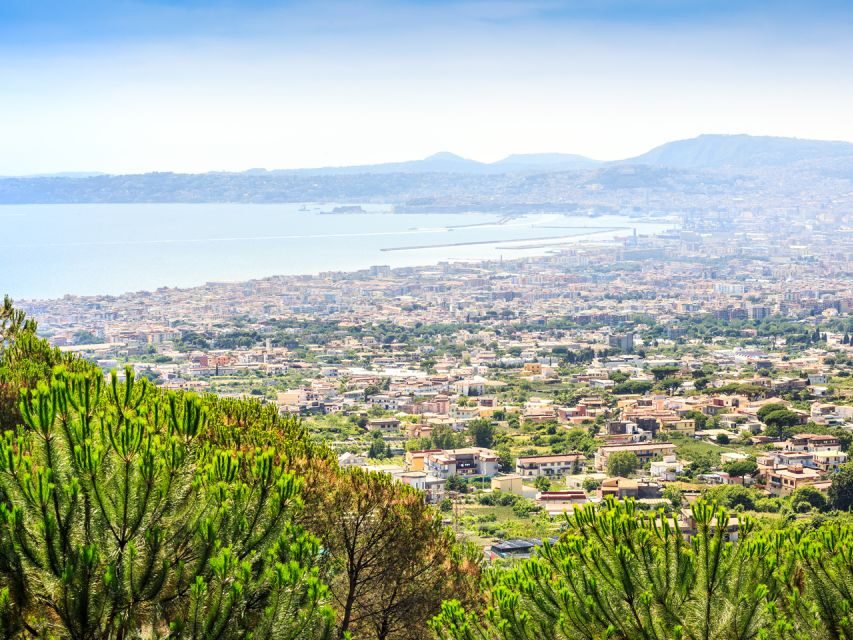 Combo Tour_Pompeii&Vesuvius from Castellammare di Stabia - Should you book this Pompeii and Vesuvius combo?