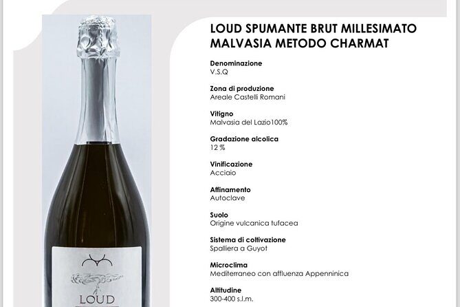 Course in Rome: Wine Education with Food - mini sommelier course - The Roman Setting: A Cozy Evening With a Real Lesson