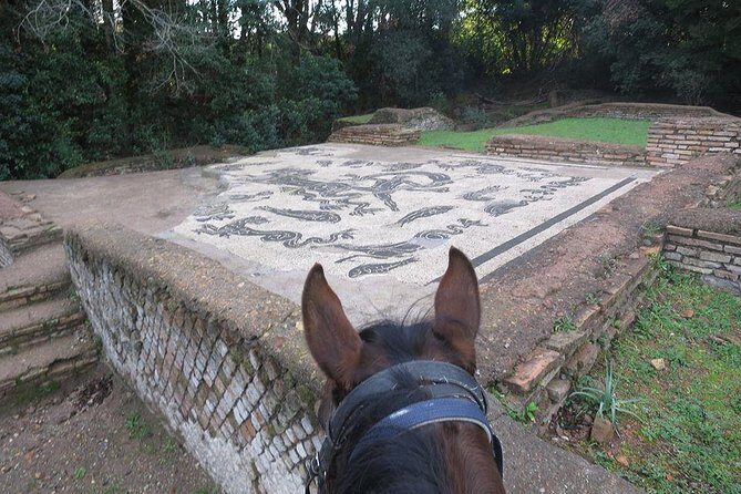 Daily out of Rome : Horseback ride with meals & wine included - Centro Ippico Valle Verde: grooming, feeding, and that first confidence boost