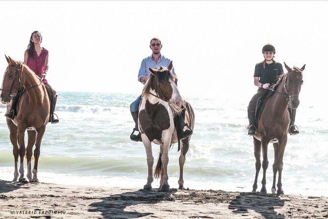 Daily out of Rome : Horseback ride with meals & wine included - Lunch and wine tasting in a village square: a slower finish than Rome
