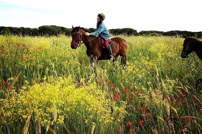 Daily out of Rome : Horseback ride with meals & wine included - What to pack: keep it comfortable, and yes, you might get dirty