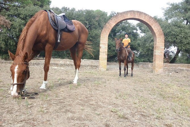 Daily out of Rome : Horseback ride with meals & wine included - Who this is best for (and who should think twice)