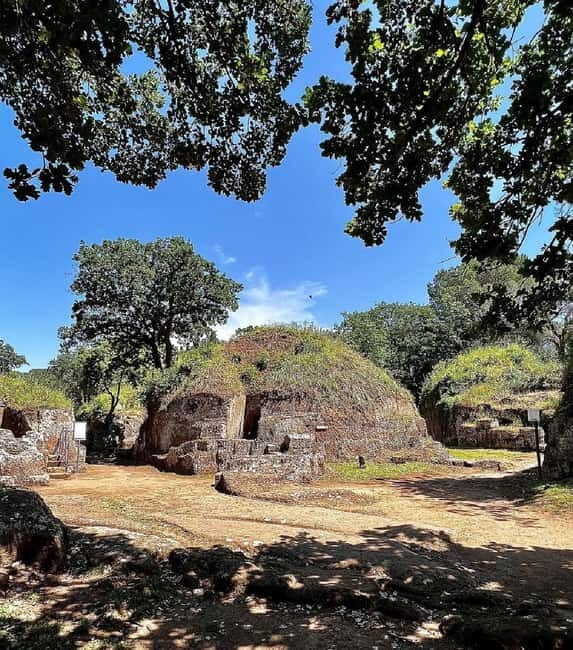 Day trip Rome: Tarquinia and Cerveteri, Etruscan tour - Key Highlights You’ll Actually Care About