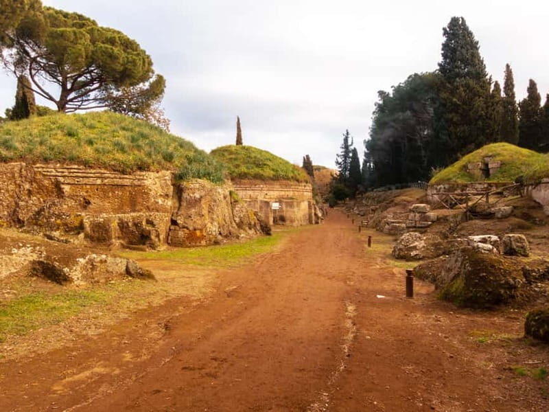 Day trip Rome: Tarquinia and Cerveteri, Etruscan tour - Optional Museum Time: When It Helps (and When to Skip It)