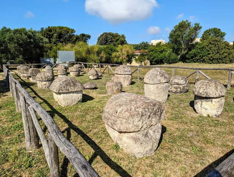 Day trip Rome: Tarquinia and Cerveteri, Etruscan tour - Who This Tour Is Best For