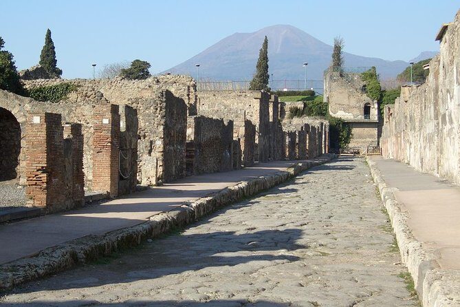 Day Trip to Pompeii, Positano and Amalfi Coast- Semi Private Tour - Price and value: what you’re really paying for