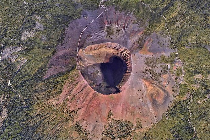 Discovering the Vesuvius - VIP tour / Small group - Mount Vesuvius National Park: crater tickets and volcanologist talk