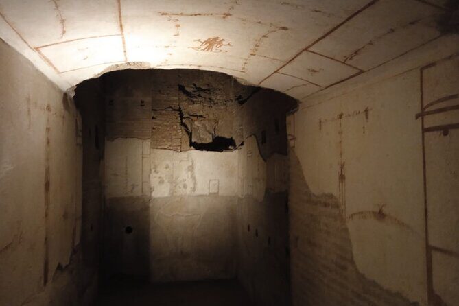 Domus Tiberiana and The Ruins of Ancient Rome Guided Tour - Domus Tiberiana: the reopened imperial palace you’ll want to see before everyone else