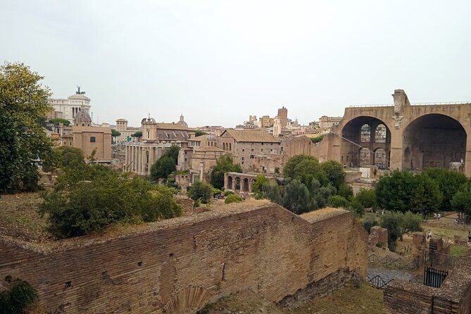Domus Tiberiana and The Ruins of Ancient Rome Guided Tour - Who should book this guided ruins tour