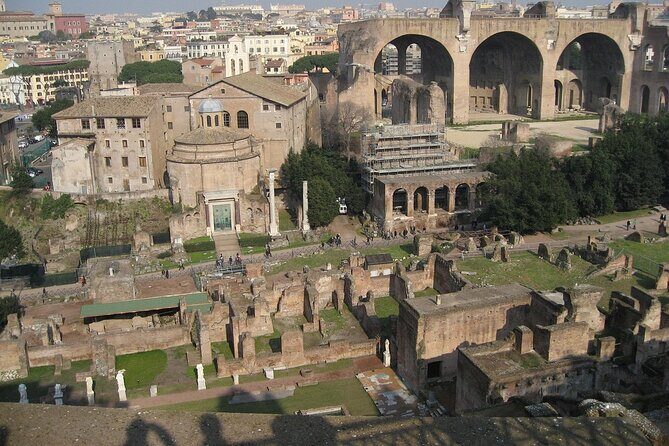 Domus Tiberiana and The Ruins of Ancient Rome Guided Tour - Palatine Hill: from the Romulus story to the feeling of Rome’s oldest layers