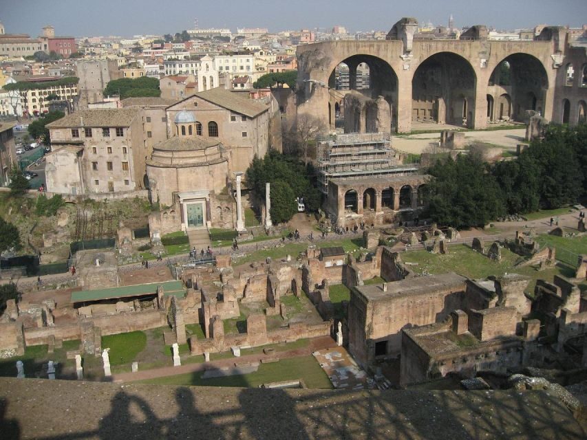 Domus Tiberiana, Palatine Hill and Roman Forum Guided Tour - Why the Domus Tiberiana Reopening Changes Your Roman-Forum Game