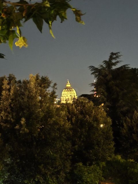 Elegant Rome by night tour and dinner in a local restaurant - Colosseum and Roman Forum: night viewpoint meets guided context