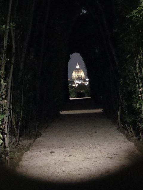 Elegant Rome by night tour and dinner in a local restaurant - Circus Maximus, Giardino degli Aranci, and Tiber Island photos
