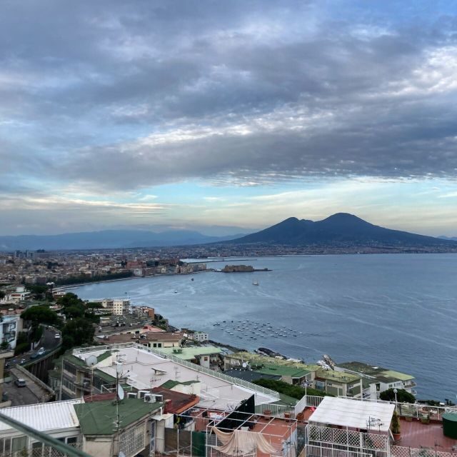 Ercolano: Half-Day Sightseeing Tour to Vesuvius - Ercolano to Vesuvius: Fast Transport, Real Summit Time