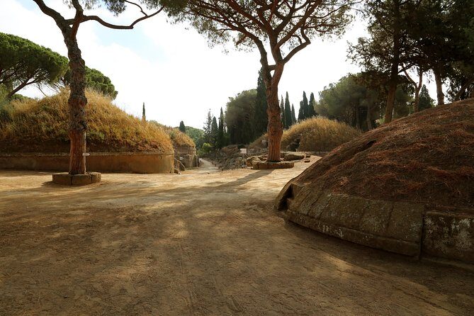 Etruscan Tarquinia and Cerveteri from Rome - Stop 1: Necropoli della Banditaccia and its massive mound landscape