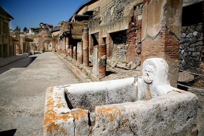 Excavations of Herculaneum. Tour guide and skip-the-line ticket - Key Highlights You Should Care About
