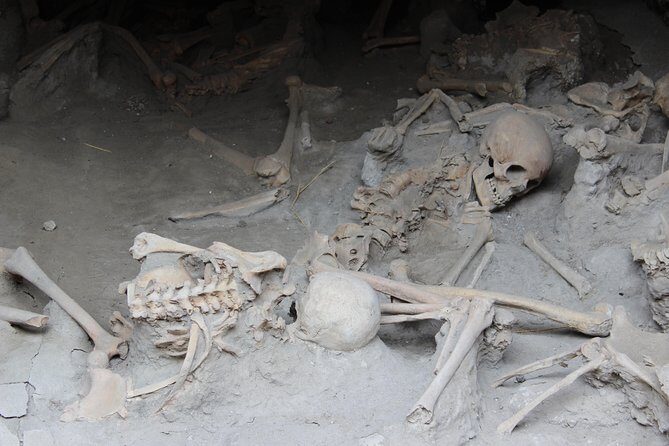 Excavations of Herculaneum. Tour guide and skip-the-line ticket - Houses, Interiors, and Mosaics You Can Actually Read