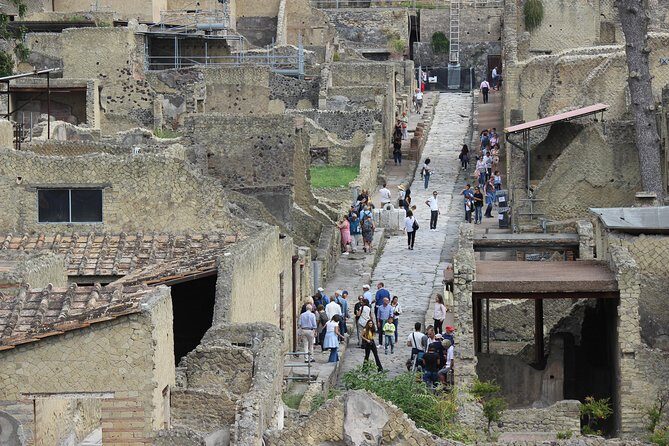 Excavations of Herculaneum. Tour guide and skip-the-line ticket - Thermes and the Town-Life Angle