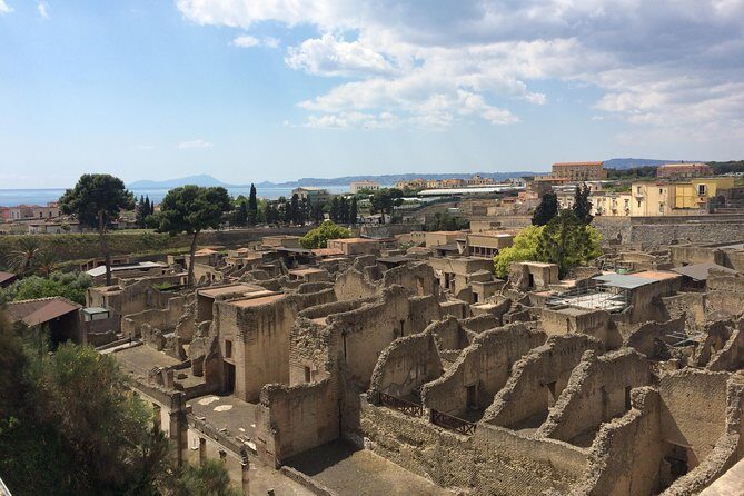Excellence Private Herculaneum Guided Tour with an Archeologist - Key moments I’d plan around