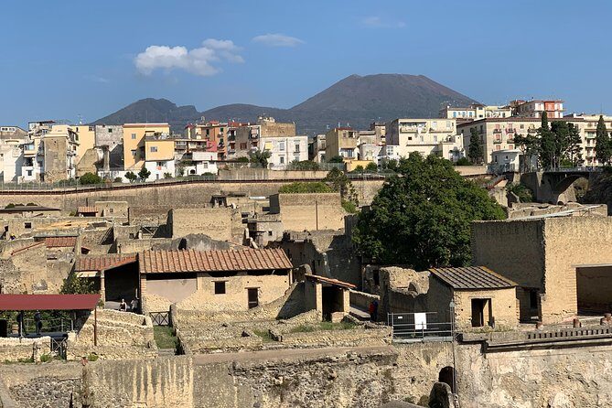 Excellence Private Herculaneum Guided Tour with an Archeologist - Ancient shops and the main road: where town life actually happened