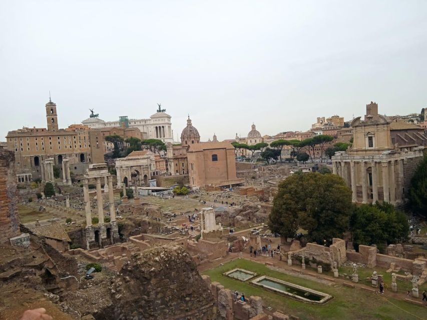 Exclusive tour of Ancient Rome and Domus Tiberiana - Key highlights you’ll actually care about