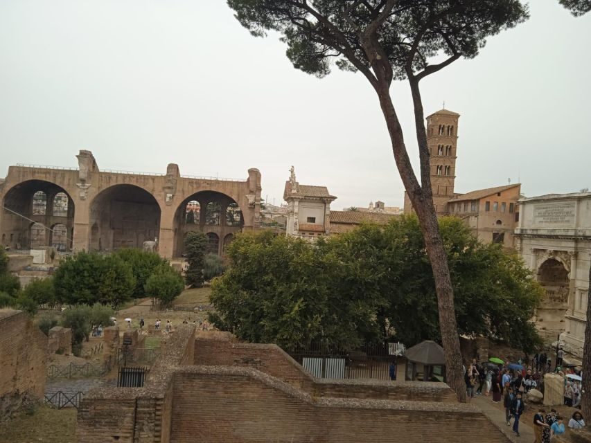 Exclusive tour of Ancient Rome and Domus Tiberiana - Tour style and pacing: best for short attention spans and big curiosity