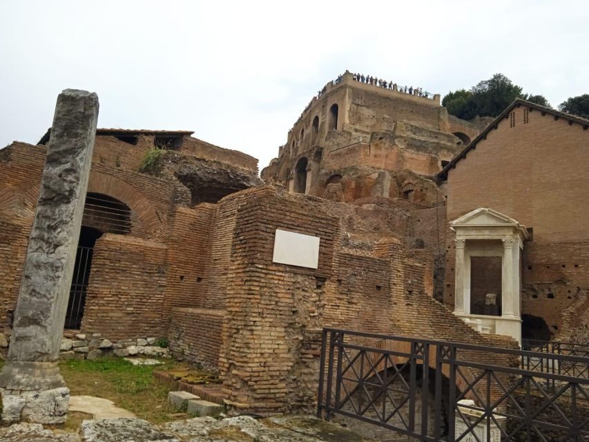 Exclusive tour of Ancient Rome and Domus Tiberiana - Who should book this exclusive Domus Tiberiana experience