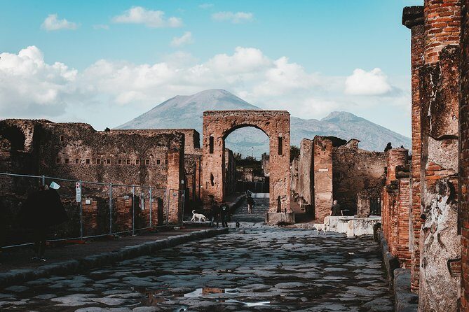 Explore Pompei Ruins with your Private Archaeologist - Price and what’s extra once you add the entrance ticket