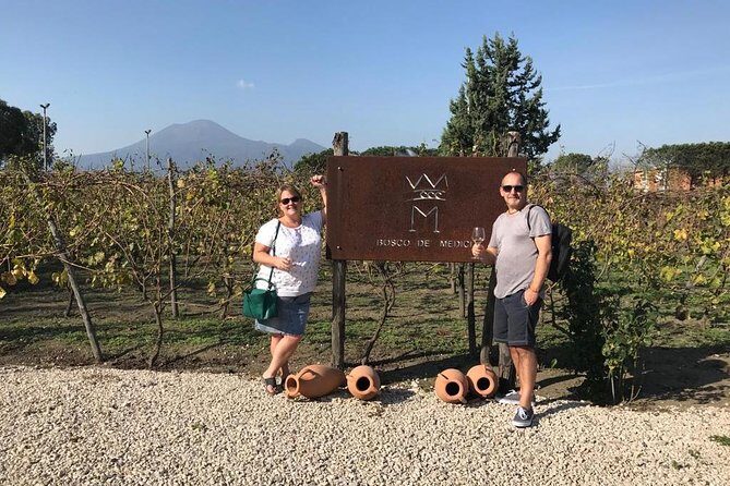 Explore Pompeii: Private Tour, Wine Tasting & Lunch - Who This Private Pompeii + Wine Tour Fits Best