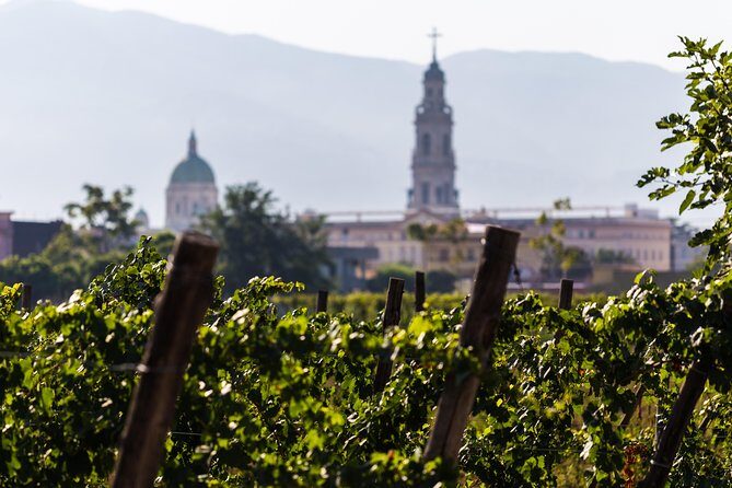 Explore Pompeii: Private Tour, Wine Tasting & Lunch - FAQ