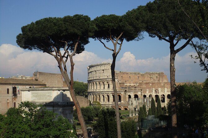 Express Colosseum Tour& Ancient Rome Access - Group Size, Timing, and the Meeting Point Reality Check