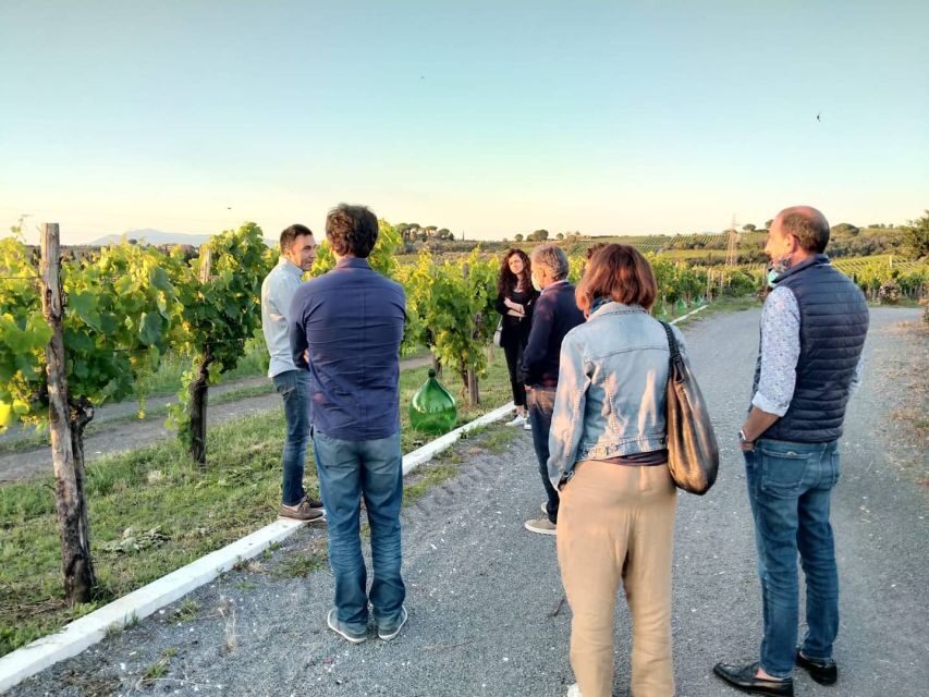 Frascati: 3-Hour Wine and Oil Tasting with Lunch/Dinner - Why Frascati Works Better Than a Generic Tasting Stop