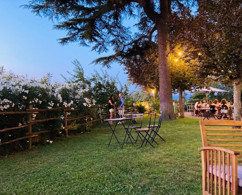 Frascati: 3-Hour Wine and Oil Tasting with Lunch/Dinner - Three Courses With Wine and Olive Oil: Food That Makes the Tasting Make Sense