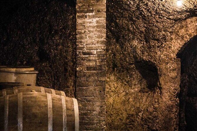 Frascati Day Tour: Road from Rome with Wine Tasting & Lunch - A Fast Ticket Out of Rome to Frascati