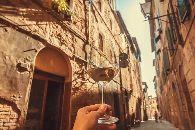 Frascati Day Tour: Road from Rome with Wine Tasting & Lunch - Wine Tastings, Olive Oil, and Bread: What You’ll Actually Be Served