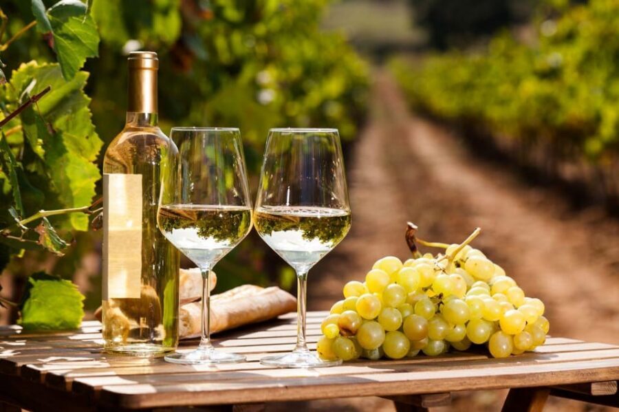 Frascati Private Tour w/ Lunch & Wine Tasting in a Vineyard - Key things to know before you go