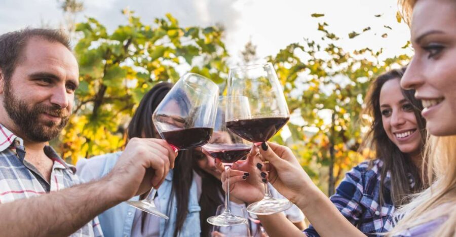 Frascati Private Tour w/ Lunch & Wine Tasting in a Vineyard - Value and price: why $279.81 can make sense (or not) depending on your style