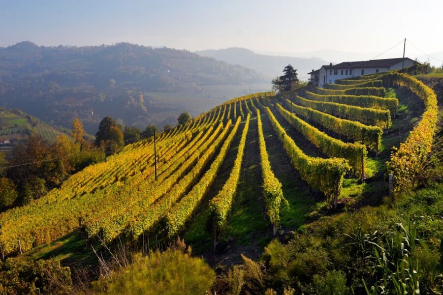 Frascati Private Tour w/ Lunch & Wine Tasting in a Vineyard - Small tips that help you enjoy the whole day