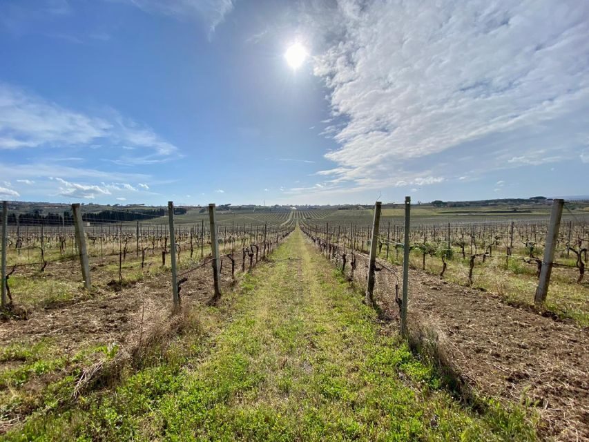 Frascati: Tour in E-Bike with Wine Tasting - Where the wine tasting happens: Frascati Superiore and historic cellars